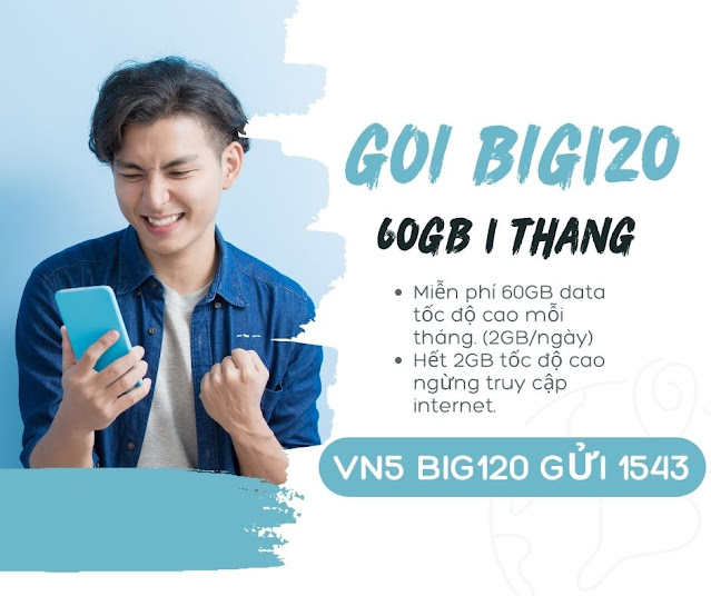 goi-big120-vinaphone